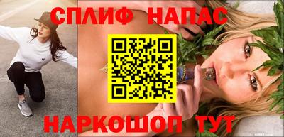 гидра Кинель