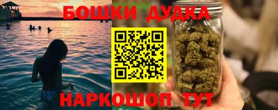 гидра Кинель