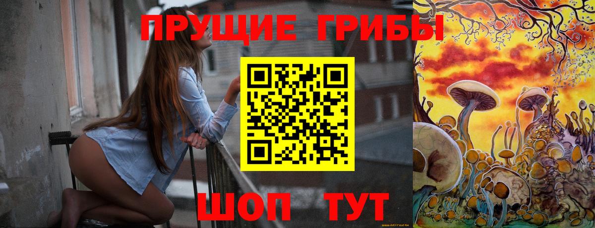 Ижевск  Псилоцибиновые грибы Psilocybe  Вход с VPN 